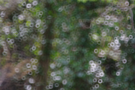 abstract photo taken with mirror lens abstract photo taken with mirror lens
