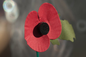 photo with polarising filter photo with polarising filter